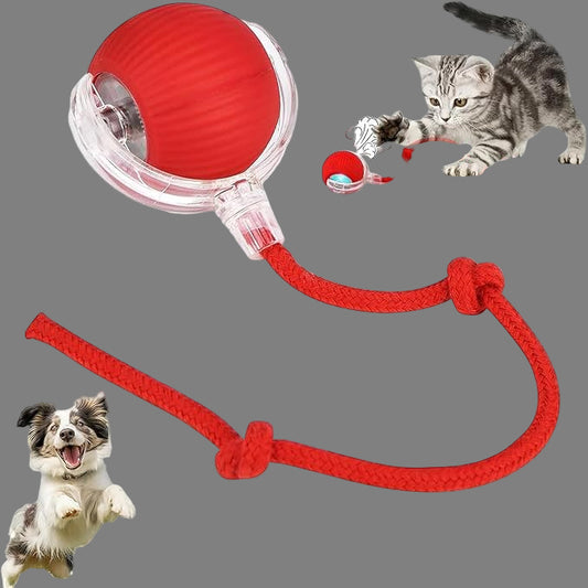 Interactive Rolling Pet Ball for Cats & Dogs | 3 Modes | USB Rechargeable