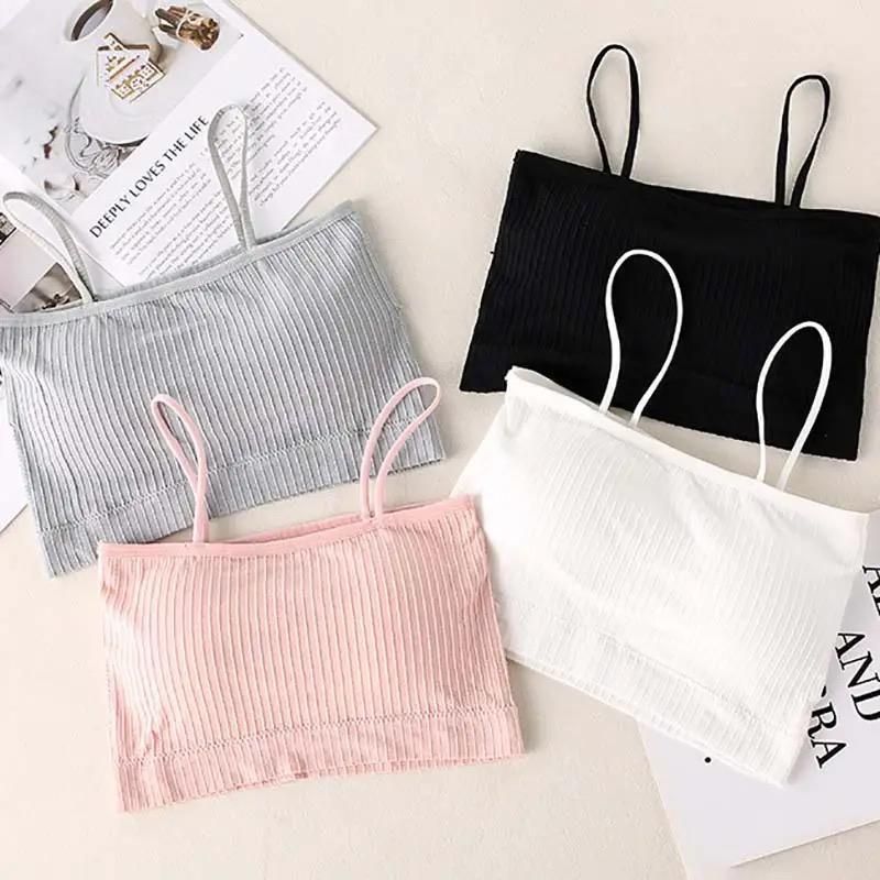 Seamless Silk Padded Bralette Bra – Pack of 2 | Full Coverage, Back Closure, All-Day Comfort | Assorted Colors, Free Size