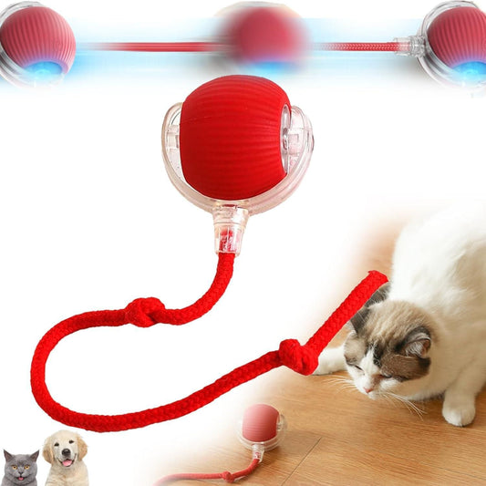 Interactive Rolling Ball Cat Toy I Smart Motion Activated I Indoor Pet Play Ball