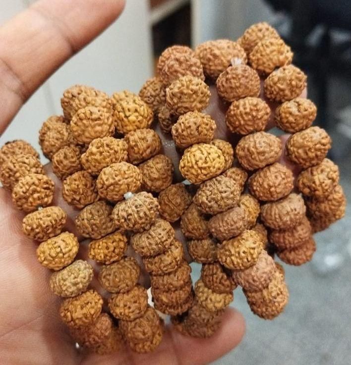7 Mukhi Rudraksha Bracelet for Men β Spiritual Beads Bracelet