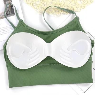 Seamless Padded Bra for Women – Pack of 2 | Full Coverage, Back Closure, All-Day Comfort | Assorted Colors, Free Size
