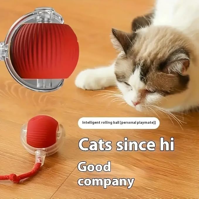Interactive Rolling Pet Ball for Cats & Dogs | 3 Modes | USB Rechargeable
