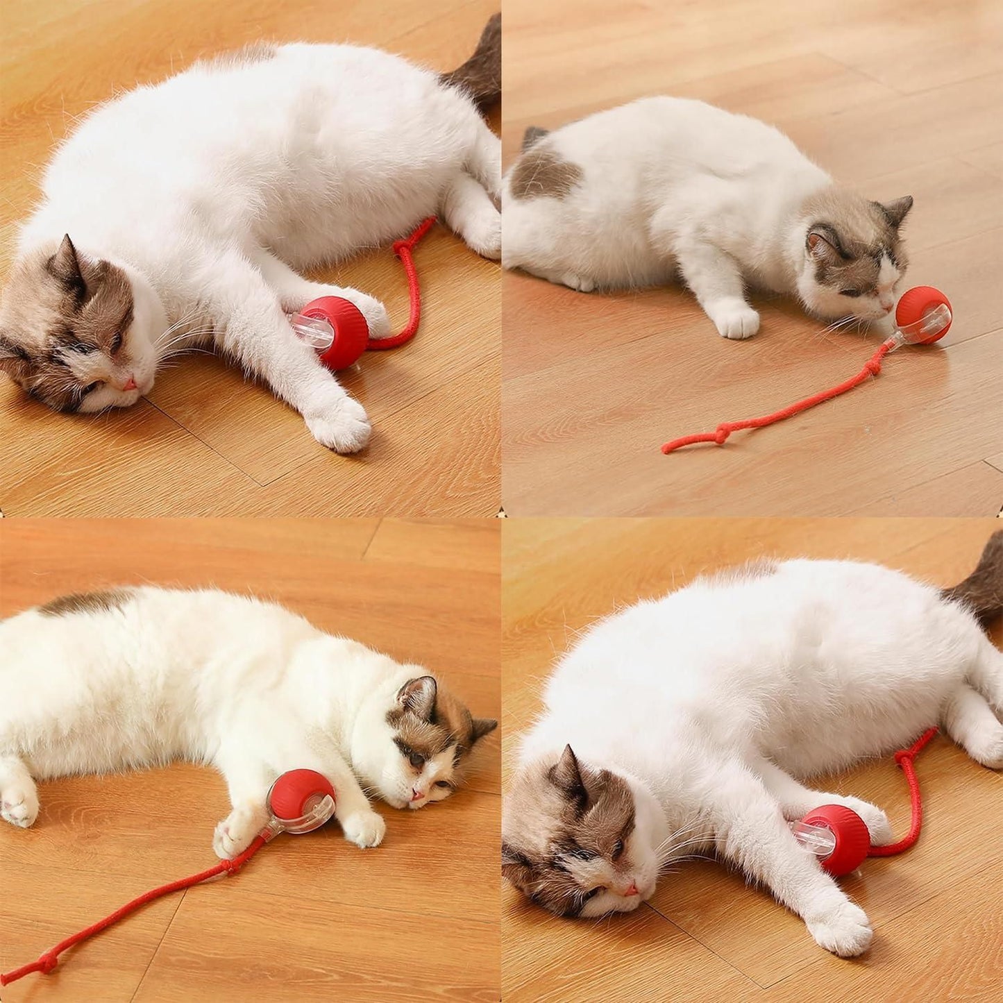 Interactive Rolling Ball Cat Toy I Smart Motion Activated I Indoor Pet Play Ball